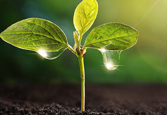 csm_CAPTRON-news-slider-sustainability-2_77632c7eab